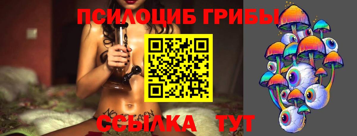 Рязань  Псилоцибиновые грибы Cubensis  Вход с VPN 